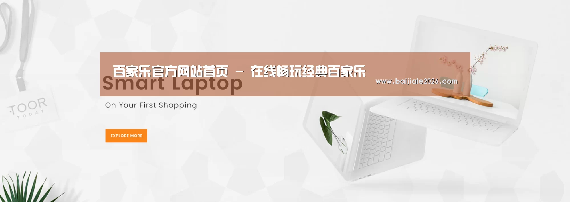 某某网络科技有限公司