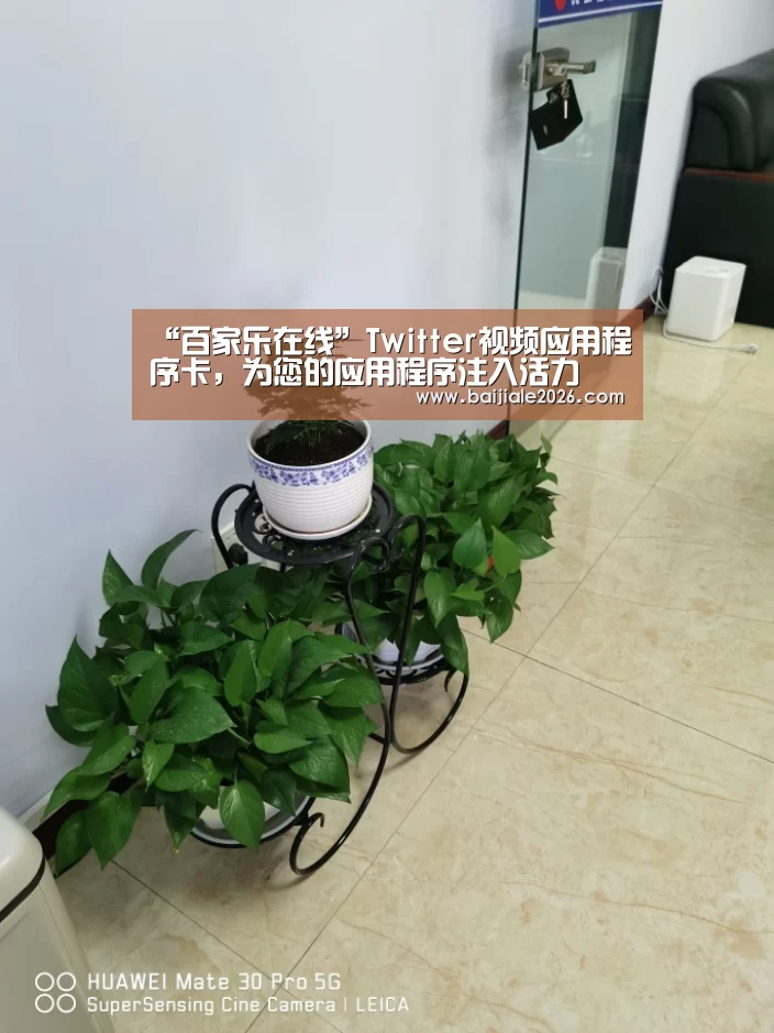 真人百家乐网站