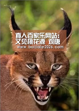 真人百家乐网站:又见桃花源 观唐艺术区首届艺术季开幕(图1) 百家乐在线直播