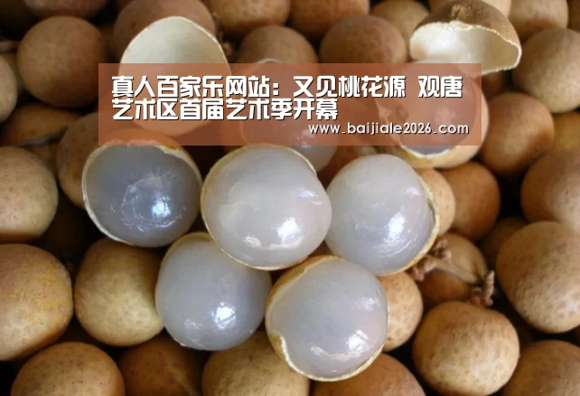 真人百家乐网站:又见桃花源 观唐艺术区首届艺术季开幕(图3) 真人百家乐网站