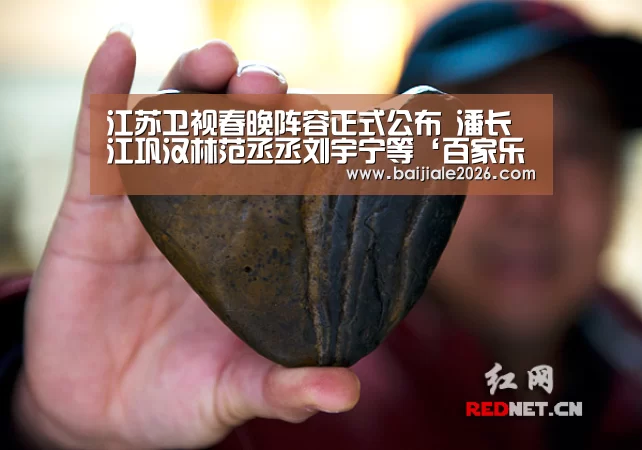 江苏卫视春晚阵容正式公布 潘长江巩汉林范丞丞刘宇宁等‘百家乐在线直播’(图2) 百家乐在线官网