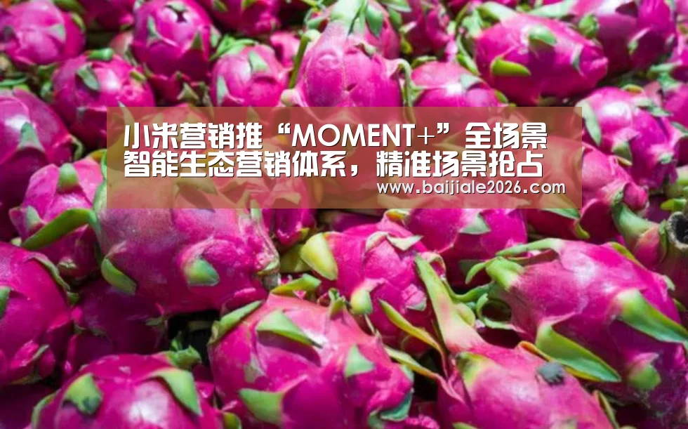 小米营销推“MOMENT+”全场景智能生态营销体系,精准场景抢占用户心智“百家乐在线直播”(图4) 真人百家乐网站