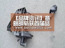 【品牌资讯】意略明斩获首届品牌数据银行先锋大赛六项大奖_百家乐在线官网(图2) 百家乐在线官网