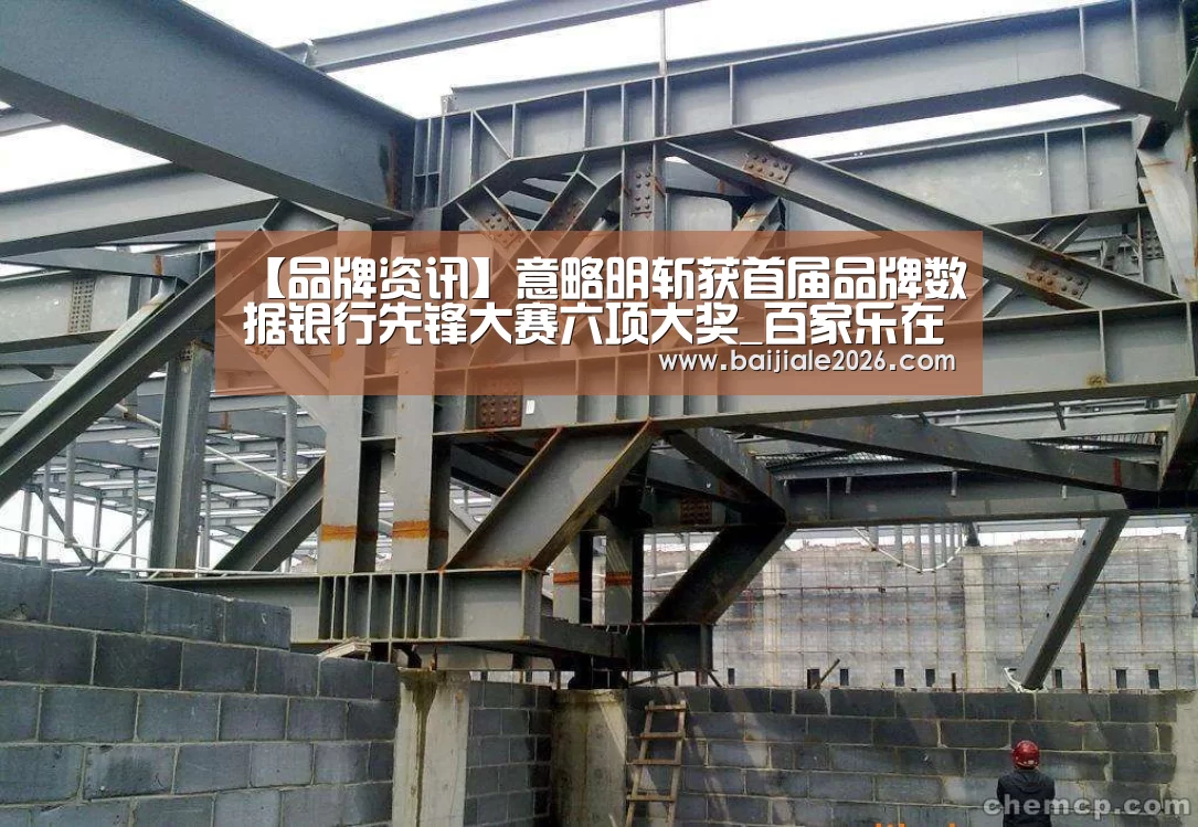 【品牌资讯】意略明斩获首届品牌数据银行先锋大赛六项大奖_百家乐在线官网(图4) 百家乐在线