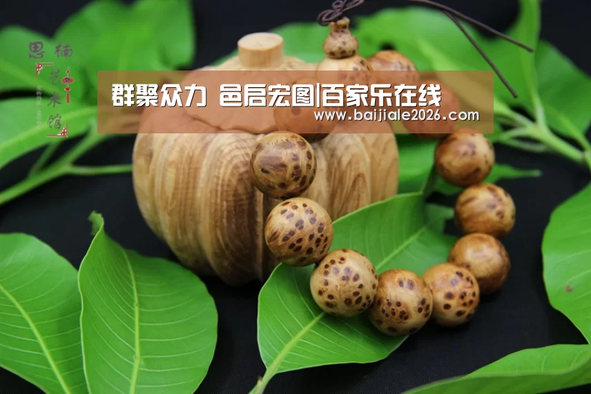 群聚众力 邑启宏图|百家乐在线(图2) 百家乐在线